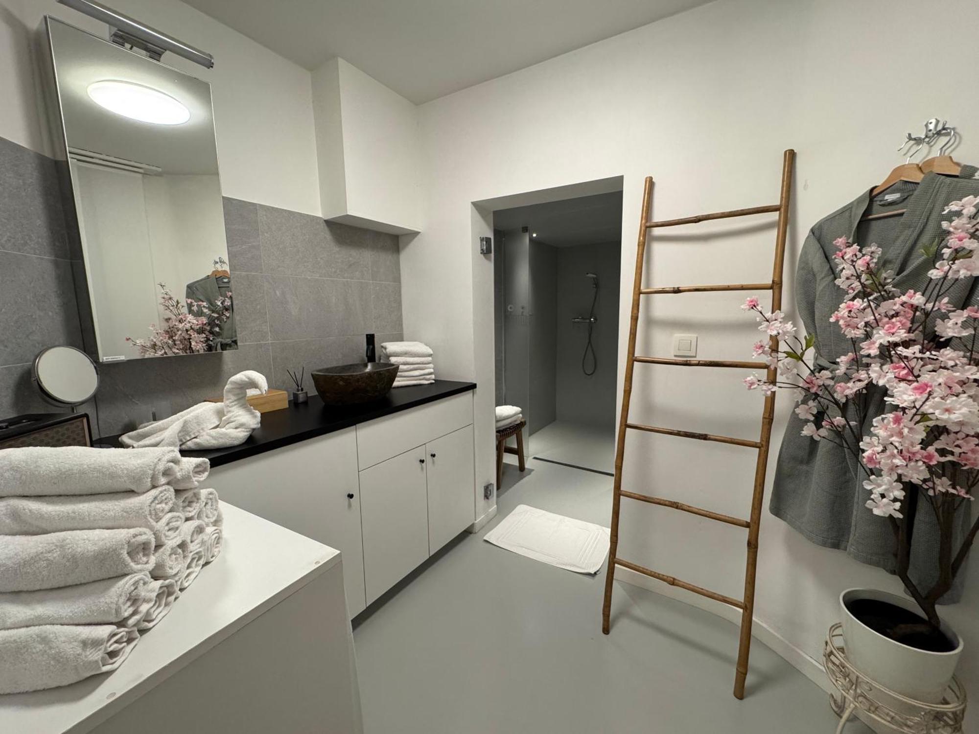 Coco Romantic In Central Antwerp - Sauna Zewnętrze zdjęcie